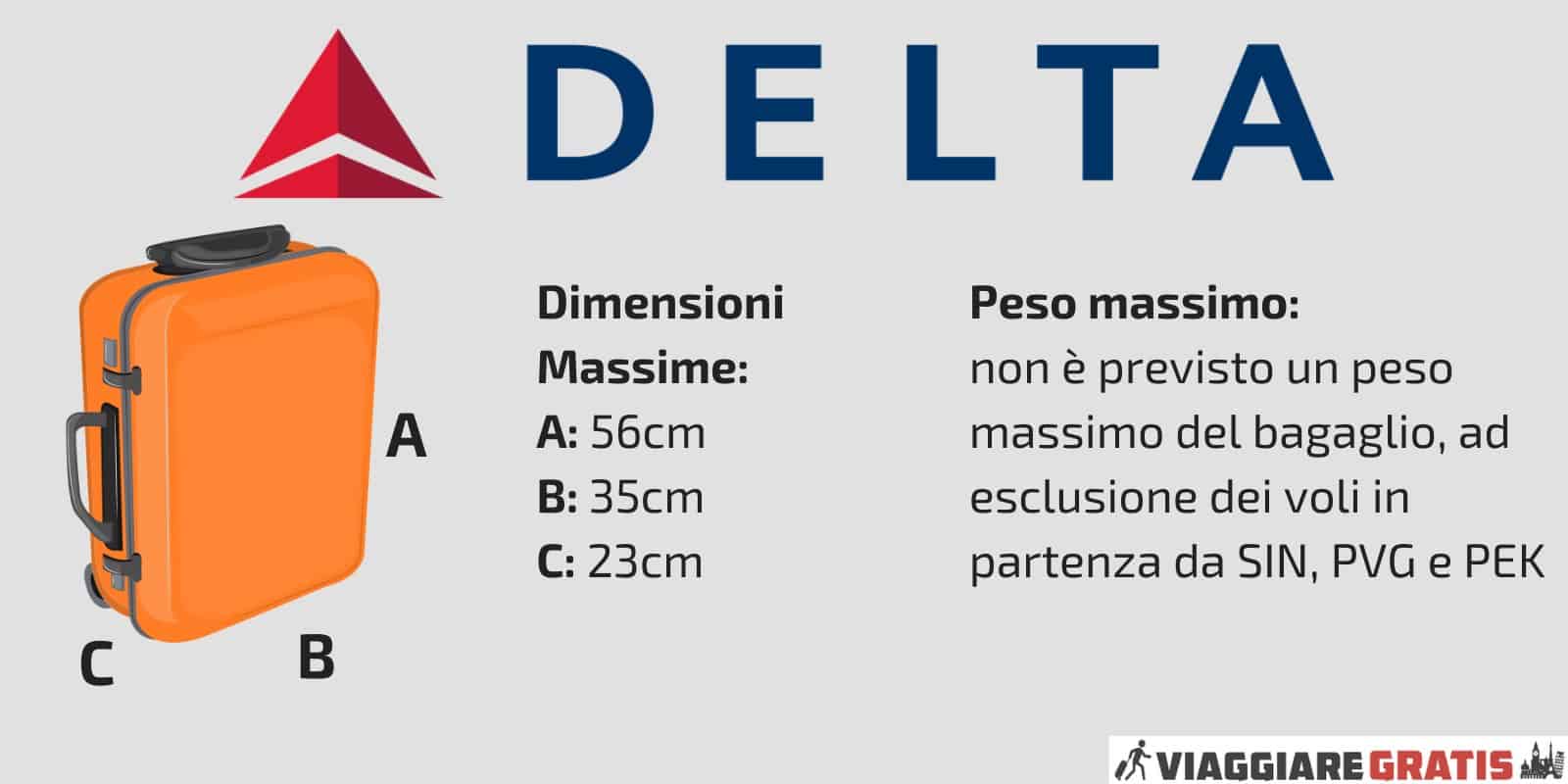 Bagaglio a mano Delta Airlines check in