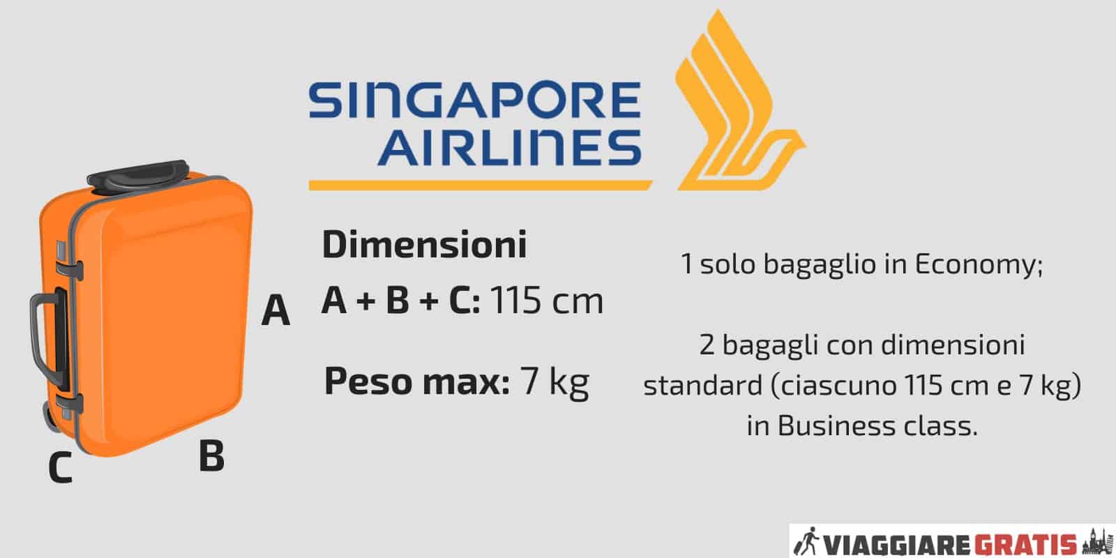 Bagaglio a Mano Singapore Airlines