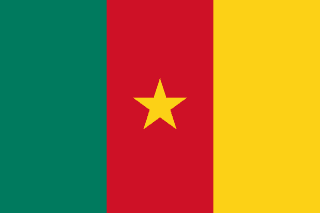 Bandiera Camerun