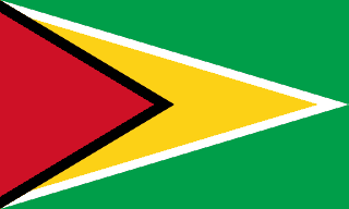 Bandiera Guyana