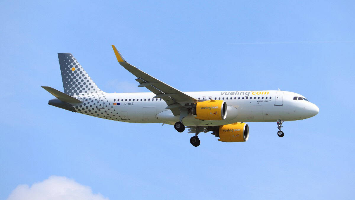 Bagaglio da stiva Vueling