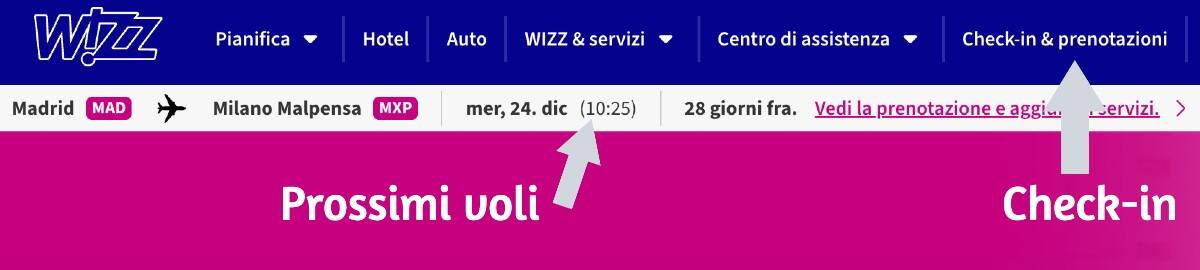 Check in Wizz account